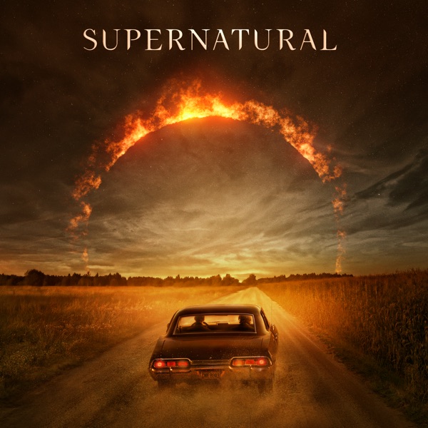 Сверхъестественное / Supernatural [S01-15] (2005-2020) HDRip, WEB-DLRip | Рен-ТВ, NewStudio & NovaFilm