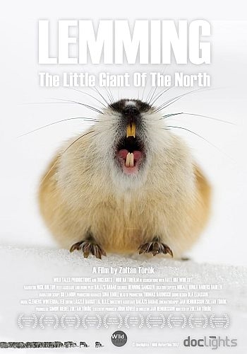Лемминг. Маленький гигант севера / Lemming, the little giant of the North (2017) HD от Morgoth Bauglir